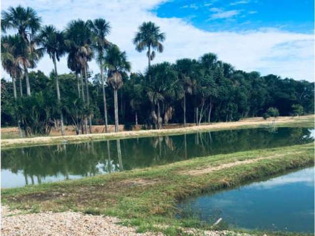 Sítio c/ 48,40 ha.c/ benfeitorias em Barra do Garça/SP