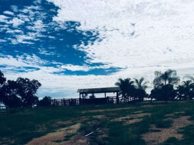 Sítio c/ 48,40 ha.c/ benfeitorias em Barra do Garça/SP