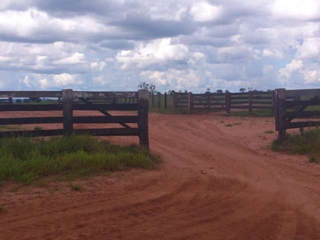 Fazenda c/ 4826ha. Possui diversas benfeitorias, Novo São Joaquim/MT