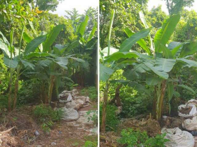 Terreno c/ 360m² em Coxipó da Ponte, Cuibá/MT