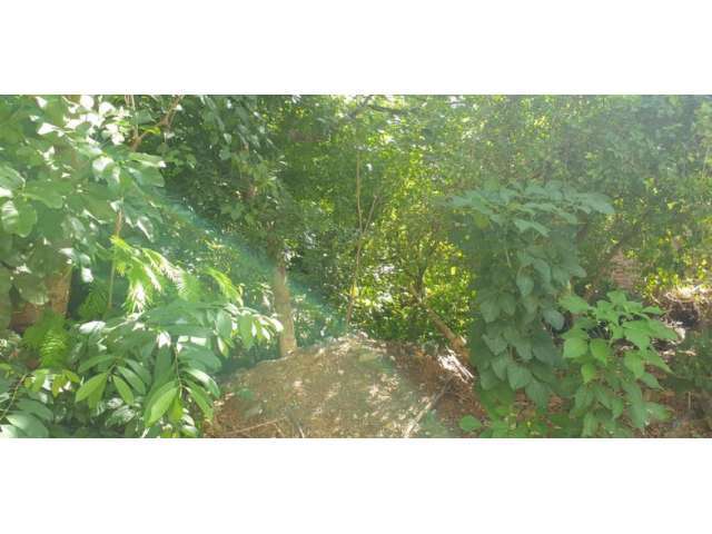 Terreno c/ 360m² em Coxipó da Ponte, Cuibá/MT