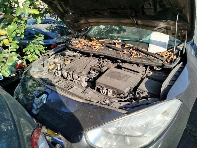 Renault/FLUENCE Sed. Dynamique 2.0 16V FLEX Mec - 2013/2014