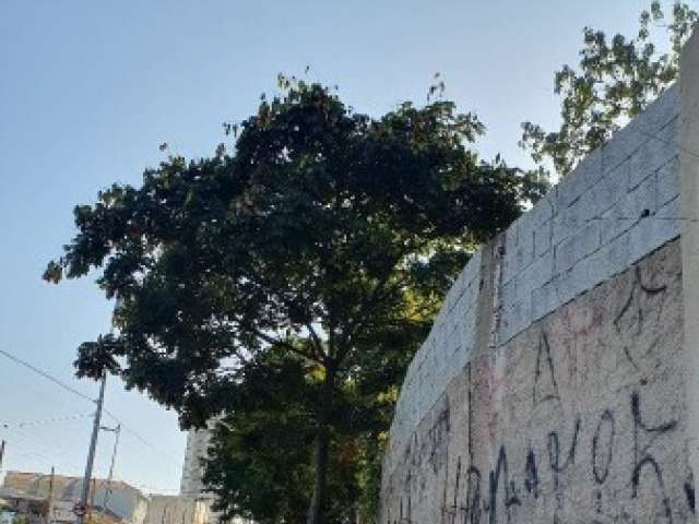 TERRENO C/ 278,80M² EM SANTO ANDRÉ/SP 