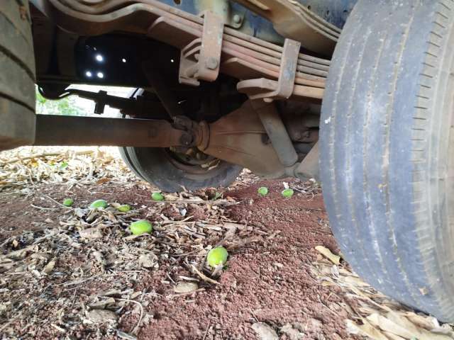 VW/8.120 EURO3 2008/2008 (CAMINHÃO)