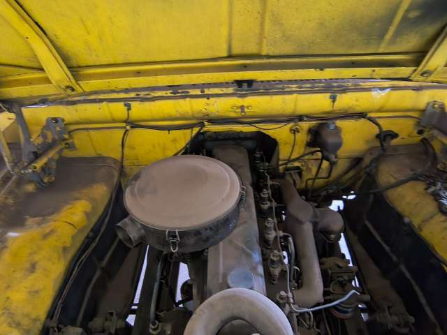 DODGE/DODGE 1980/1981 (CAMINHÃO BASC)