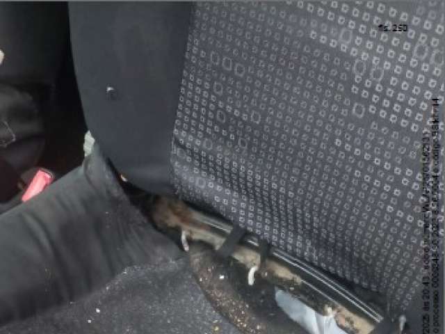 Leilão de Veículo: Renaul Clio AUT 1.0 H 2004