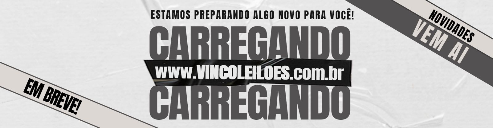 CHAMADA VINCO LEILÕES